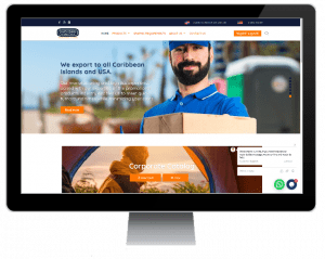 sitio web publiplas INTL